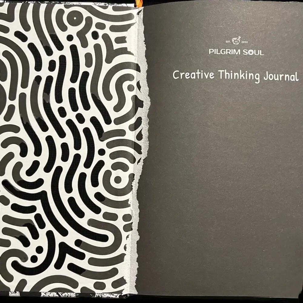 The Original Creative Thinking‎ Journal: Please Use the Journal While High